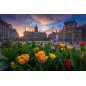 Sony FE 14MM F1.8 GM