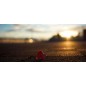 Sony Sonnar T* FE 35mm f/2.8 ZA