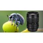 Laowa 60mm f/2.8 Ultra-Macro for Sony E