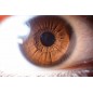 Laowa 60mm f/2.8 Ultra-Macro for Sony E