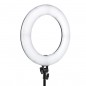 Viltrox Weeylite 18“ RGB Ringlight