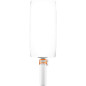 Zhiyun FIVERAY V60 Bi-Color LED Light Wand Combo Kit