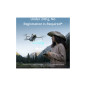 DJI Mini 4 Pro With (RC 2) (GL)