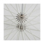 Quadralite Deep Space 130 Transparent Umbrella Quadralite Deep Space 130 Transparent Umbrella