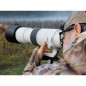 Canon RF 200-800mm f/6.3-9 IS USM