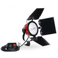 Red Head Light 800W