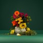 Colorama Background Paper 1.35x11m Spurce Green