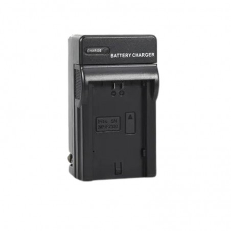 Charger for Sony