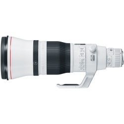 Canon EF 600mm f/4L IS III USM