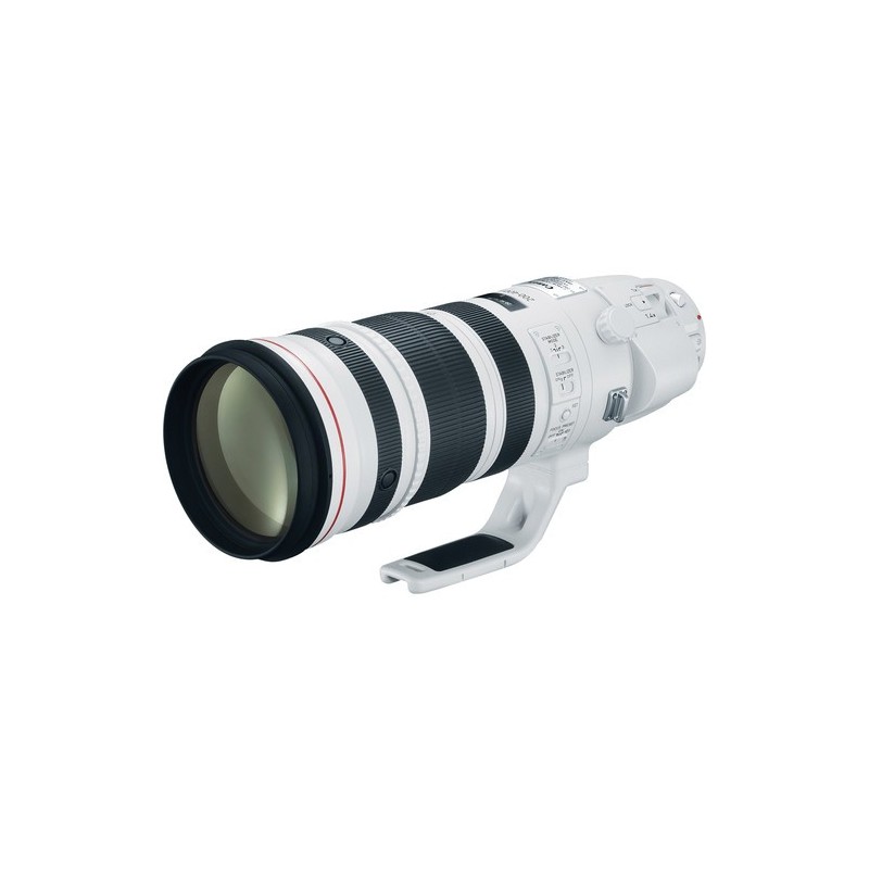 Canon EF 200-400mm f/4L IS USM Extender 1.4x Canon EF 200-400mm f/4L IS USM Extender 1.4x